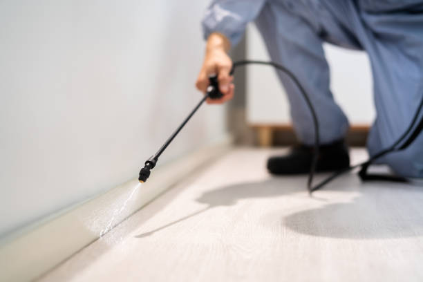 Licensed Termite Control service in Freeland, MI - Nex Pest Control