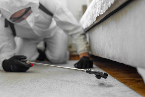 Professional Termite Control technician working in Freeland, MI