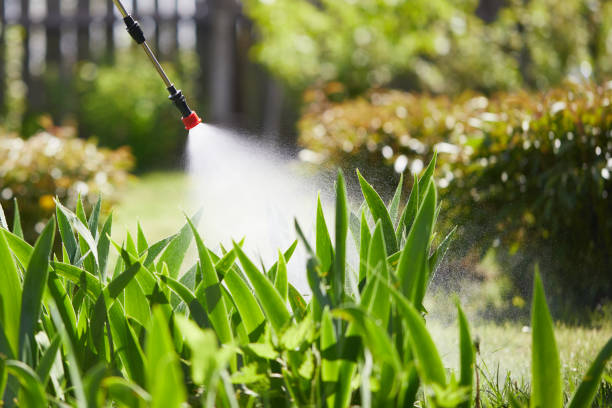24/7 Emergency Termite Control experts in Freeland, MI