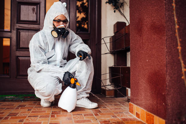 Reliable Termite Control contractor in Freeland, MI by Nex Pest Control