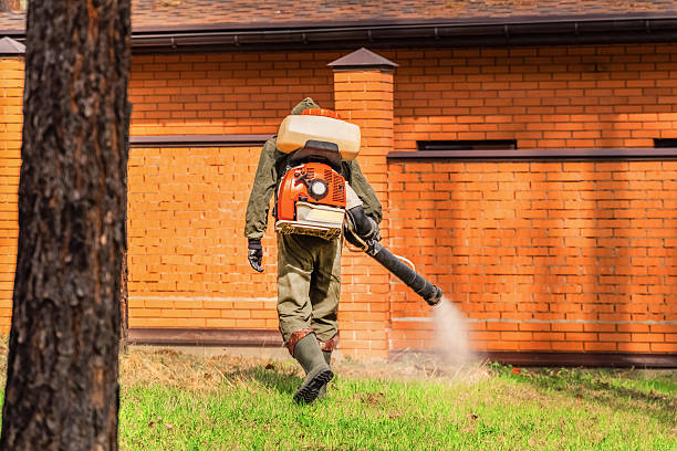Top rated local Termite Control specialists in Freeland, MI